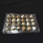 Quail Eggs Free Range