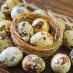 Quail Eggs Free Range
