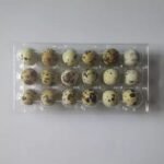 Quail Eggs Free Range