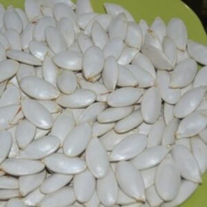 Quality Shine Skinsnow White Pumpkin Seeds For Sale