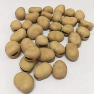 Fava Beans QualityFava Broad Beans