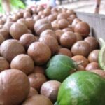 Raw Macadamia Nuts