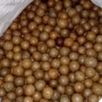 Raw Macadamia Nuts