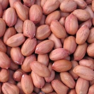 Raw In-Shell Valencia Peanuts Raw Peanut Raw Groundnuts Peanut In Shell White And Red Peanut