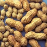 Raw Peanuts Kernel