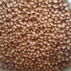Raw Peanuts Kernel