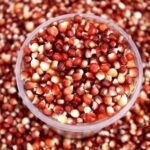 Red Maize Red Corn Maize For Sale
