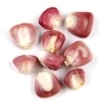 Red Maize Red Corn Maize For Sale
