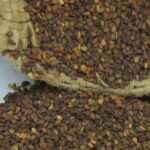Reddish Sesame Seeds