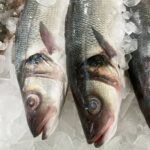Sea Bass Fillets