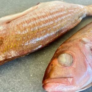 Silver Fish