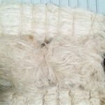 Sisal Fiber Short Fiber Tow 2