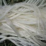 Sisal Fiber Ug Grade