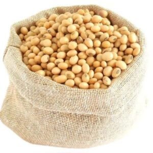 Soya Beans Soybeans