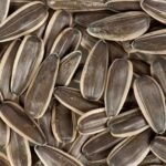 Sunflower Seeds Sunflower Seeds