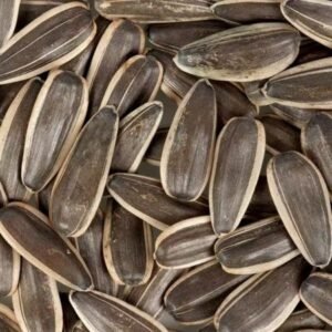 Sunflower Seeds Sunflower Seeds