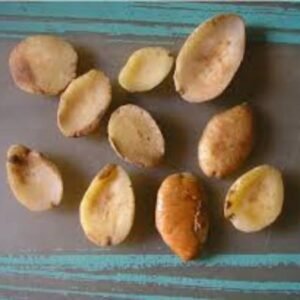 Superior Mango Seeds