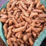 Turmeric (First Grade)