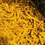 Organic Turmeric Roots (First Grade)
