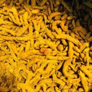 Organic Turmeric Roots (First Grade)