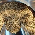 Vietnam Green Coffee Beans