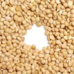 White Broom Corn Millet