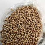 Whole Coriander Seeds