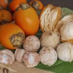 Whole Dried Areca Nuts