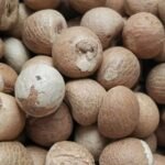 Whole Dried Areca Nuts