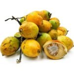 Whole Dried Areca Nuts