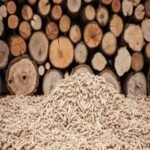 Whole Price Poplar Commercial and Construction Wood Fuel Pellets