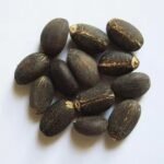 Wholesale Price Jatropha Seeds
