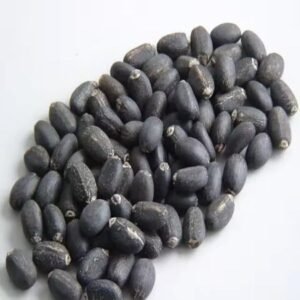 Wholesale Price Jatropha Seeds