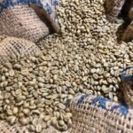 Yirgacheffe Washed Coffee