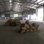 premium kenyan coffee