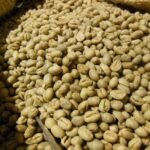 Tanzanian Peaberry