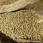 Tanzanian Peaberry