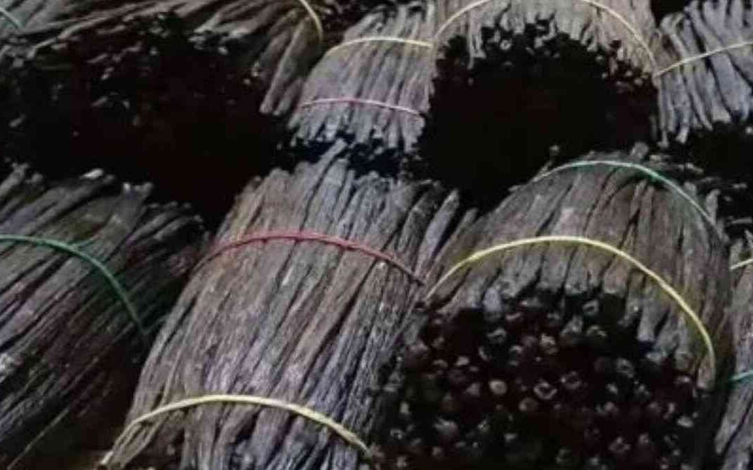 A Complete Guide to Different Types of Vanilla Pods and Their Uses
