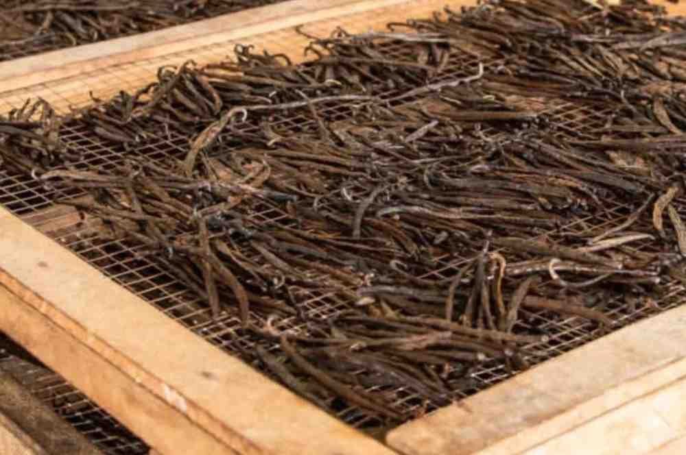 A Complete Guide to Different Types of Vanilla Pods and Their Uses